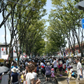 一人で夏祭り(松戸市)