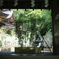 一人で夏祭り(京都)