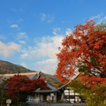 一人で紅葉(京都/洛西)