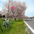 一人でサイクリング(岡山市)