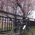 一人でサイクリング(刈谷市)