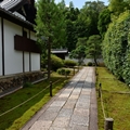 一人で京都散歩