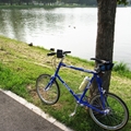 一人でサイクリング(江戸川区)