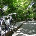 一人でサイクリング(鎌倉市)