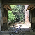 一人でサイクリング(匝瑳市)