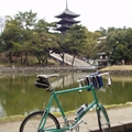 一人でサイクリング(奈良市)
