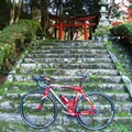 一人でサイクリング(京都)