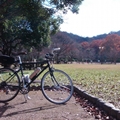 一人でサイクリング(加古川市)