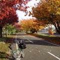 一人でサイクリング(北海道)