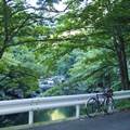 一人でサイクリング(久慈市)